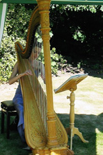 Heloise Davies wedding harpist